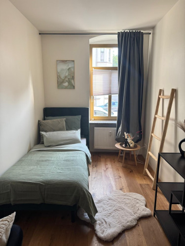 Bright 2‑Bedroom Ground‑Floor Apartment with Terrace near Zeisigwald - Gallery - 12