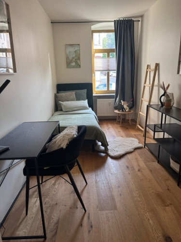 Bright 2‑Bedroom Ground‑Floor Apartment with Terrace near Zeisigwald - Gallery - 14