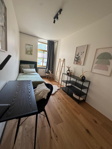 Bright 2‑Bedroom Ground‑Floor Apartment with Terrace near Zeisigwald - Gallery - 11