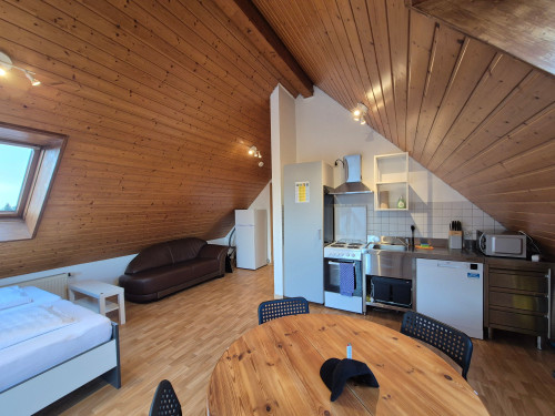 Small but nice apartment with balcony in Offenburg