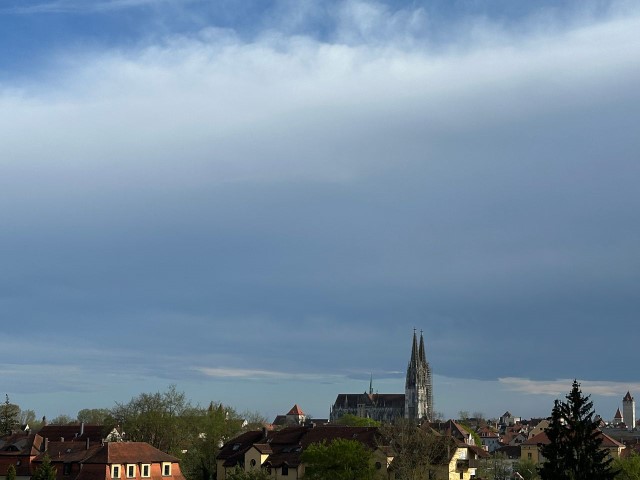 Wonderful, fully furnished shared room with large garden near the old town (shared flat for 3 people)