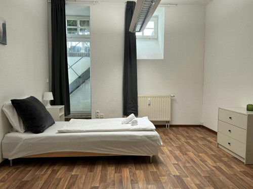 Fantastic and amazing apartment near school