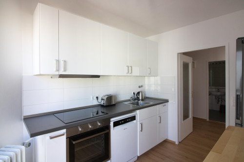 Light-flooded furnished 2-room apartment in central location