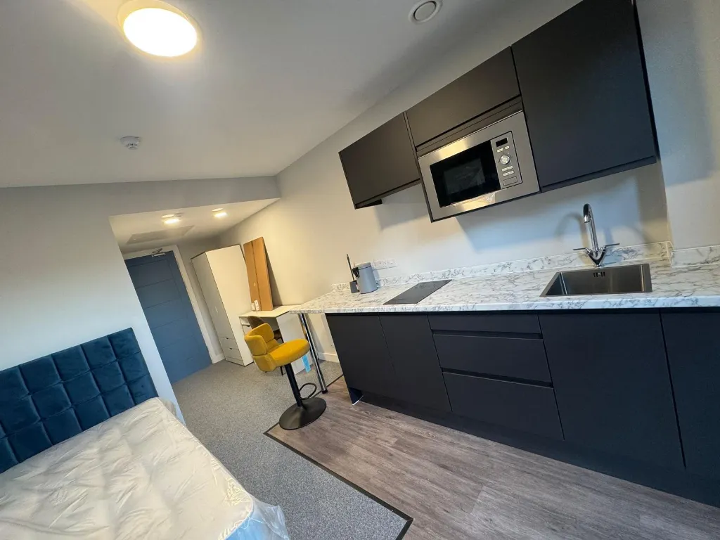  Deluxe Studio  -  Cleveland Apartments  - Gallery -  3