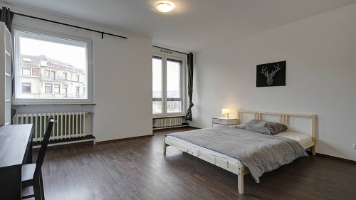 Shared apartment in Stuttgart