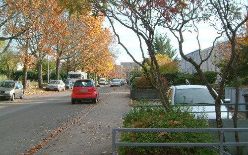 Sunny 2.5-room boutique-style apartment surrounded by greenery