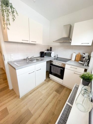 STADTRUHE ++ Business- od. Ferien-Apartment mit ruhigem Garten ++  - Gallery -  5