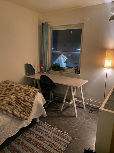 Östen Undéns gata, Lund
