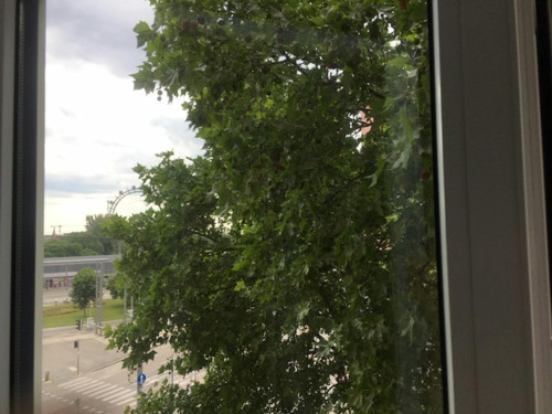 Novaragasse, Vienna  - Gallery -  5