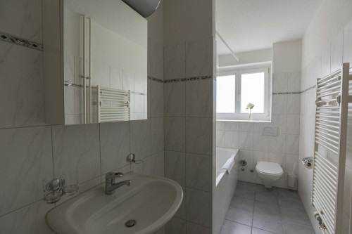 Dahliastrasse, Zürich