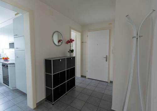 Dahliastrasse, Zürich