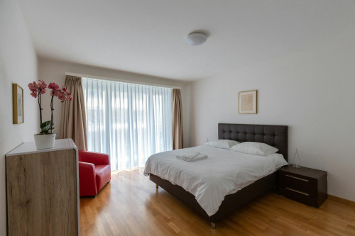 Dahliastrasse, Zürich