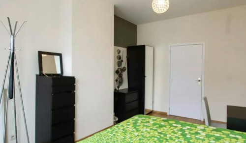 Avenue Colonel Picquart, Schaerbeek