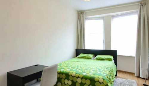 Avenue Colonel Picquart, Schaerbeek