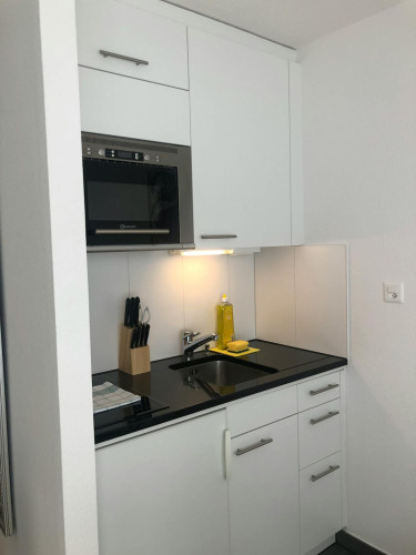 Sumatrastrasse, Zürich