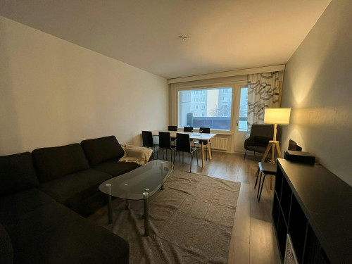 Pelimannintie, Helsinki