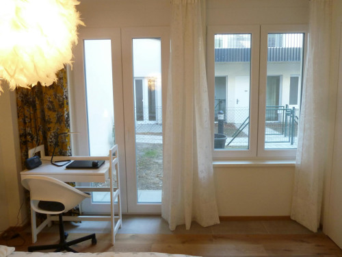 Speckbachergasse, Vienna