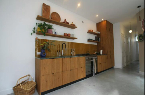 Frederik Ruyschstraat, The Hague