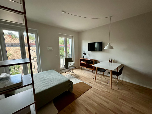 Geschwister-Scholl-Straße, Potsdam