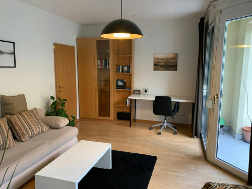 Rosenberggürtel, Graz