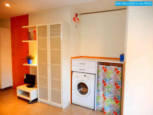 Calle Alfaro, Murcia  - Gallery -  5