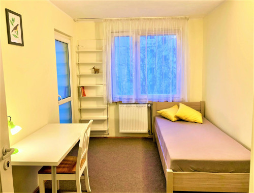 ulica Piękna, Wrocław