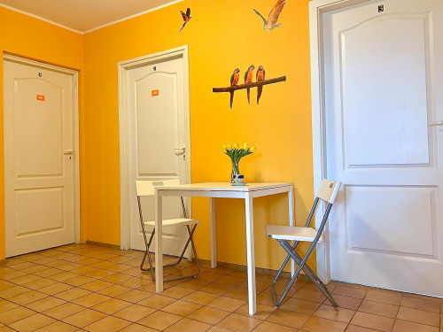 ulica Piękna, Wrocław