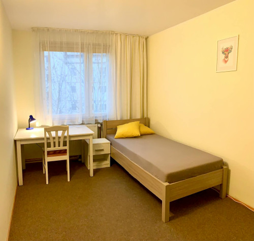 ulica Piękna, Wrocław