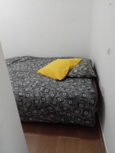 Double & ensuite bedroom in a 5-bedroom apartment.