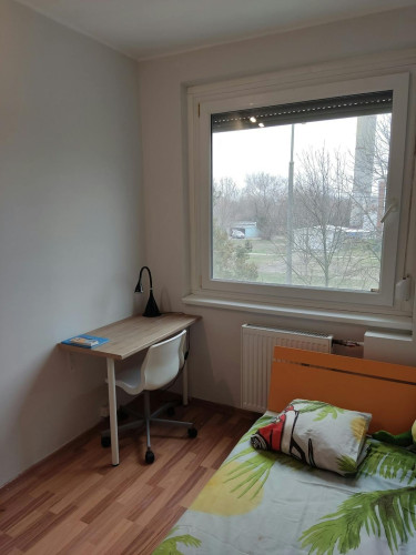 Nyitra utca, Szeged