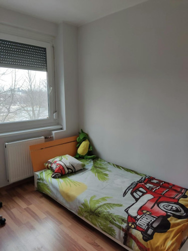 Nyitra utca, Szeged