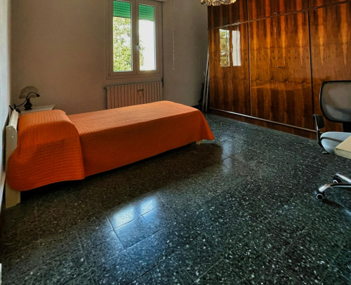 Via Luigi Bertelli, Bologna