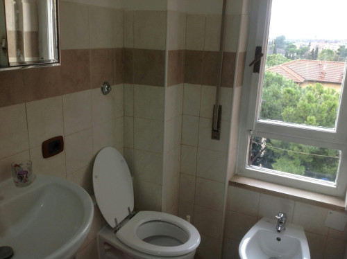 Viale dell'Annunziata, Terni - Gallery - 6