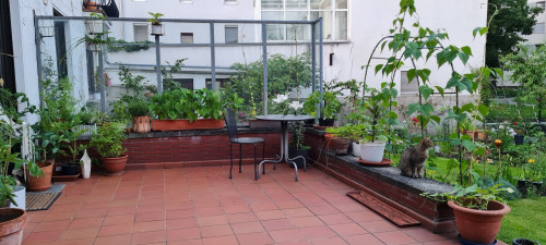 Rödelheimer Parkweg, Frankfurt am Main