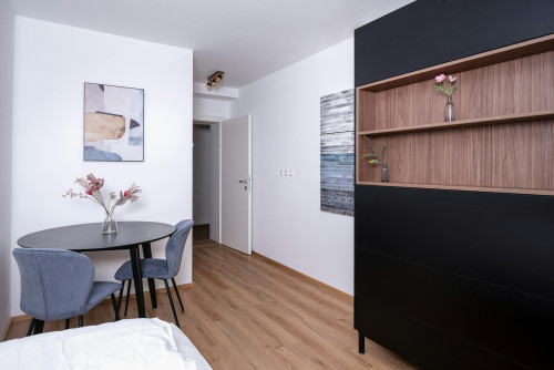 Hauptplatz, Villach - Gallery - 6