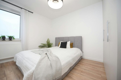 Błogosławionej Karoliny, Rzeszów - Gallery - 6