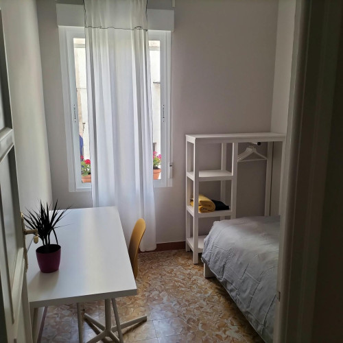 Calle Maestro Marqués, Alicante  - Gallery -  5