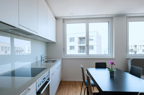 Erlenmattstrasse, Basel