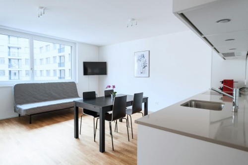 Erlenmattstrasse, Basel