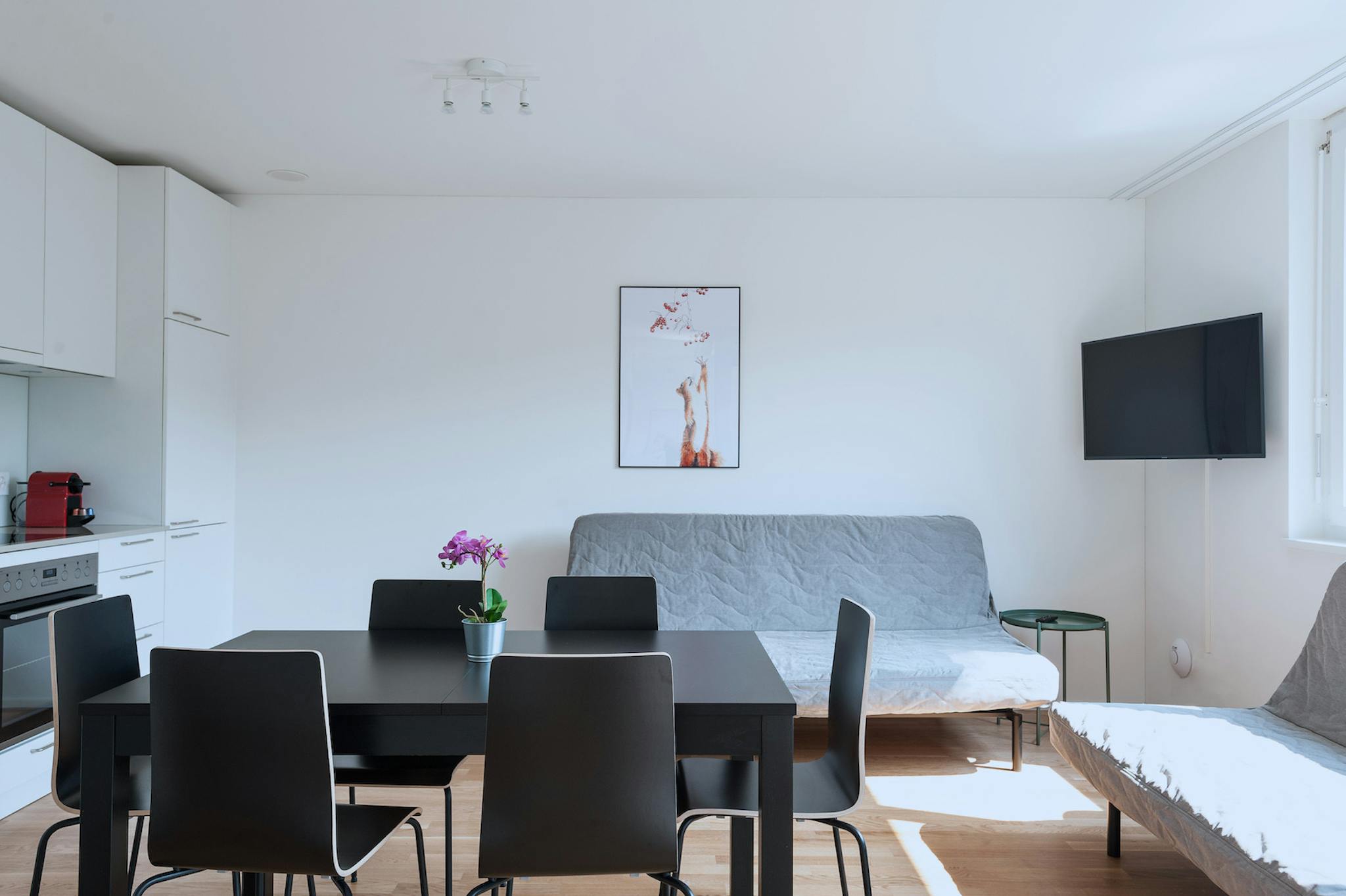 Entire Place - Erlenmattstrasse, Basel - Gallery - 1