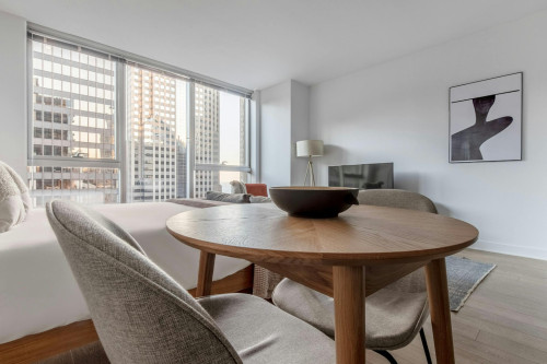 North Garland Court, Chicago, IL  - Gallery -  5