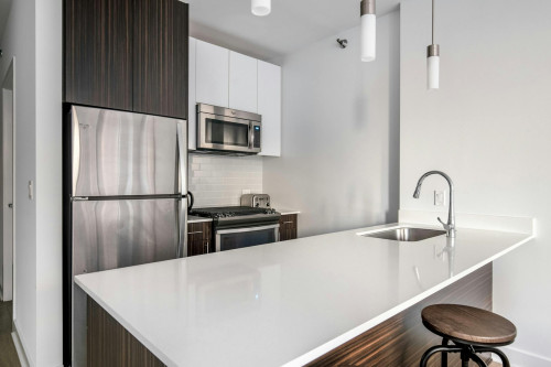 North Garland Court, Chicago, IL - Gallery - 6