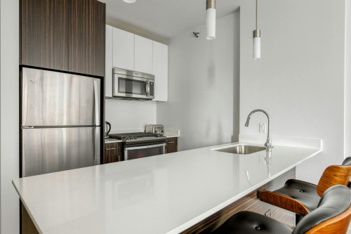North Garland Court, Chicago, IL - Gallery - 7