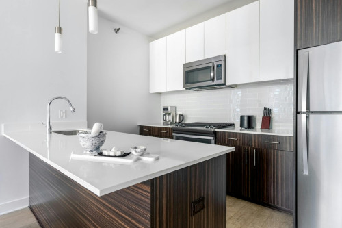 North Garland Court, Chicago, IL - Gallery - 6