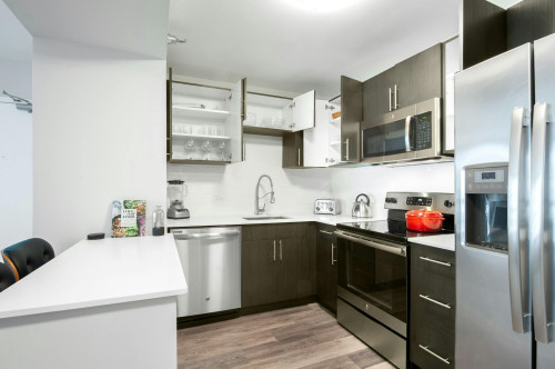 East Delaware Place, Chicago, IL - Gallery - 5