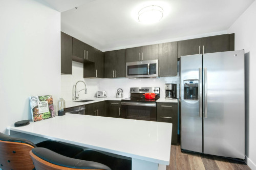 East Delaware Place, Chicago, IL - Gallery - 6