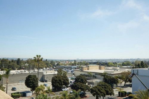 Maxella Avenue, Marina del Rey, CA - Gallery - 6