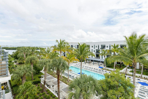 Northeast 7th Avenue, Miami, FL - Gallery - 7