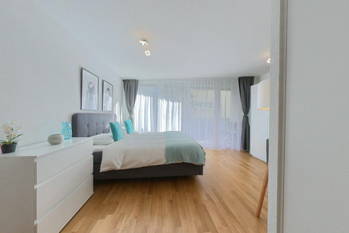 Avenue de Montchoisi, Lausanne  - Gallery -  5