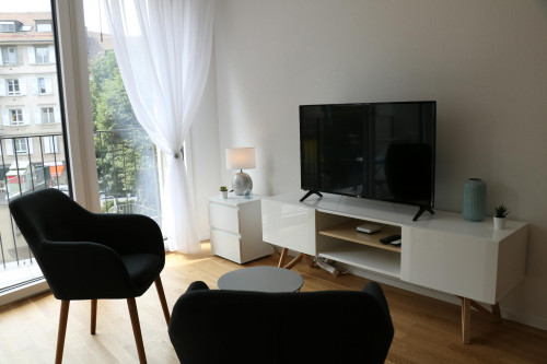 Avenue de Montchoisi, Lausanne  - Gallery -  5